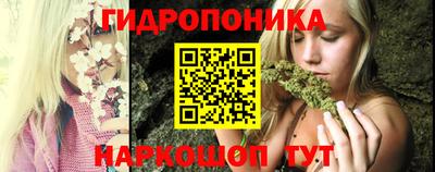 индика Краснознаменск