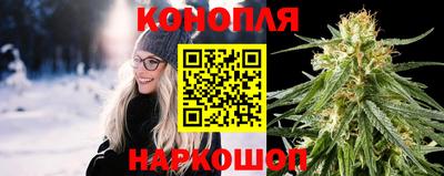 гидра Краснодар