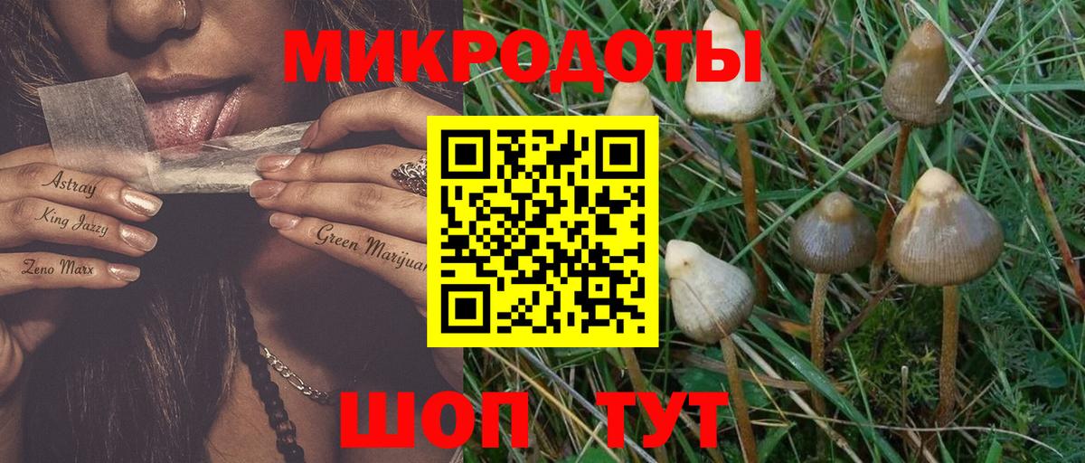 Заволжье  Галлюциногенные грибы Psilocybe  Вход с VPN 