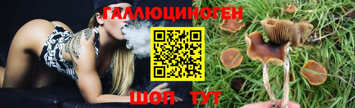 Псилоцибиновые грибы мухоморы Заволжье